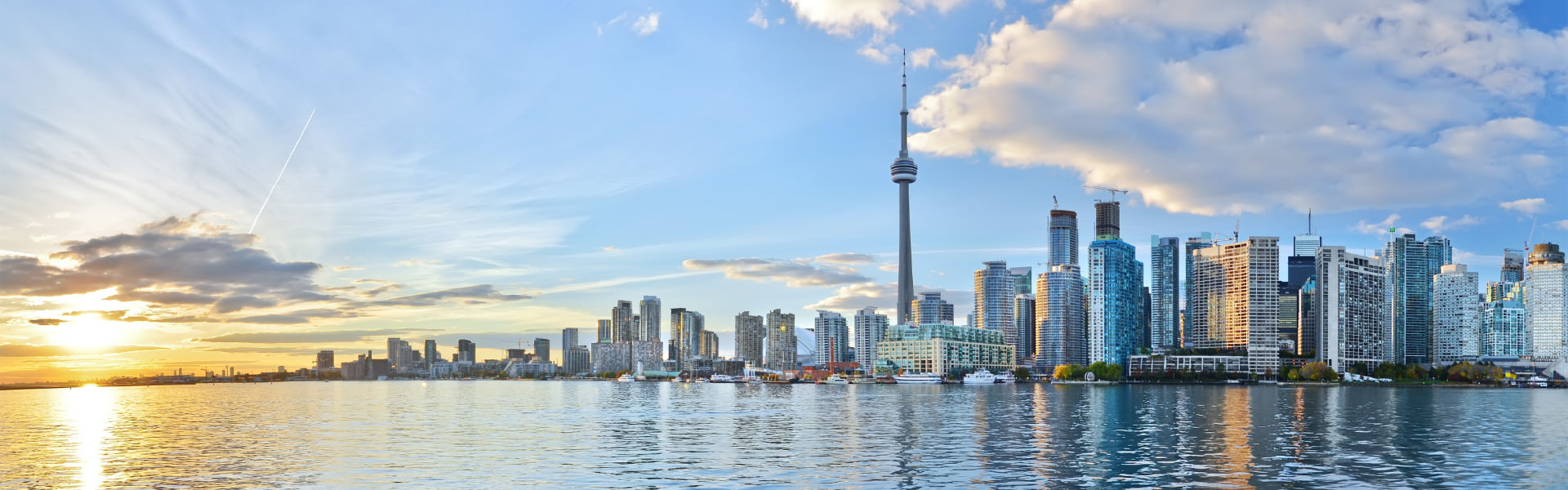 Der USA und Kanada Spezialist