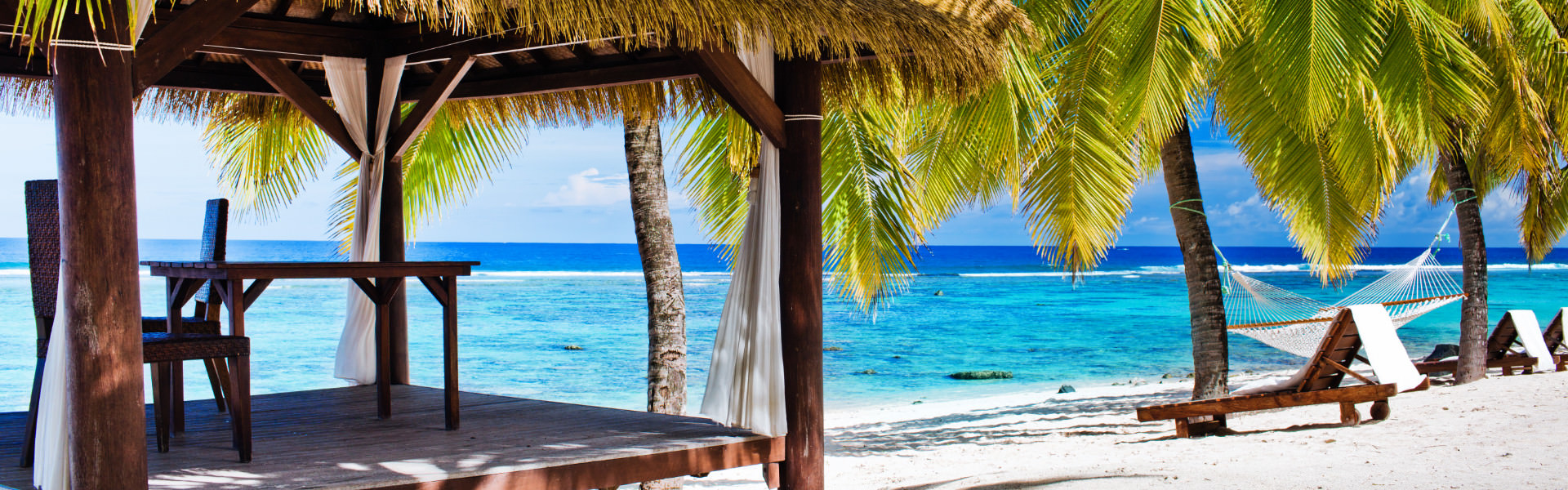 Der USA und Kanada Spezialist